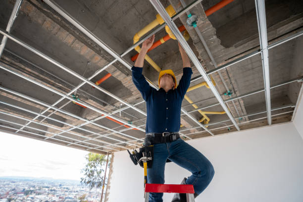 Best Best Plumbers Near Me  in Freeport, IL